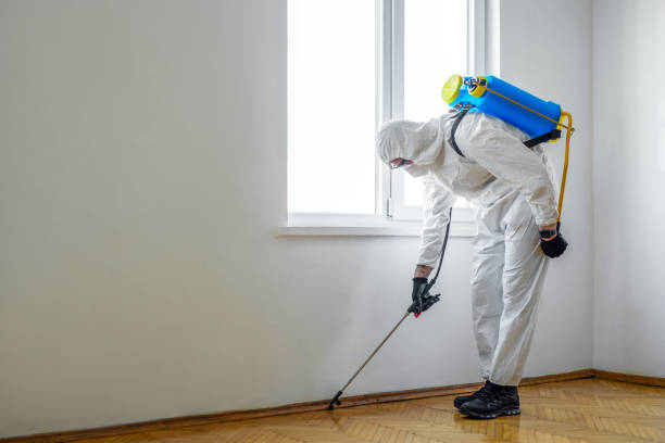 Best Residential Pest Control  in Pitola, CA